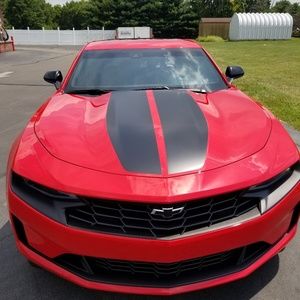 Meet your Posher, Antoinette